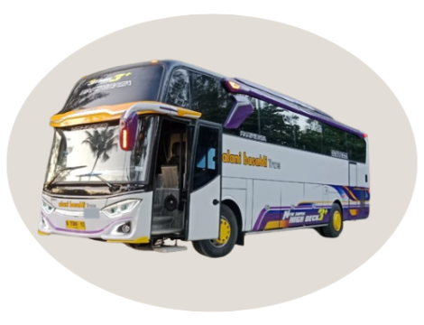 BUS Pariwisata 50 Seat